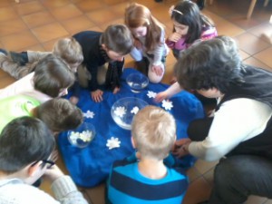 2014 Zauberblume Taufe